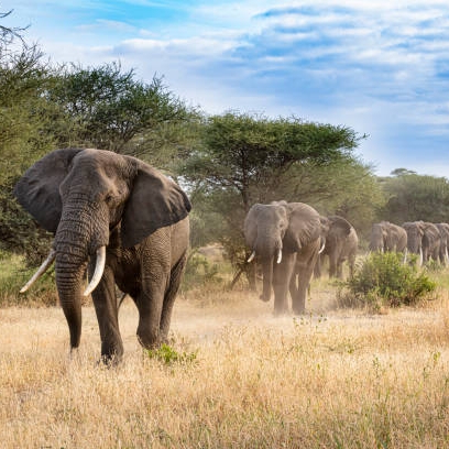 Soltur Viagens e Turismo